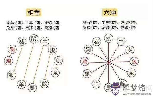 生肖配婚有什麼注意事項 生肖婚配不能夠相沖、相害、相刑