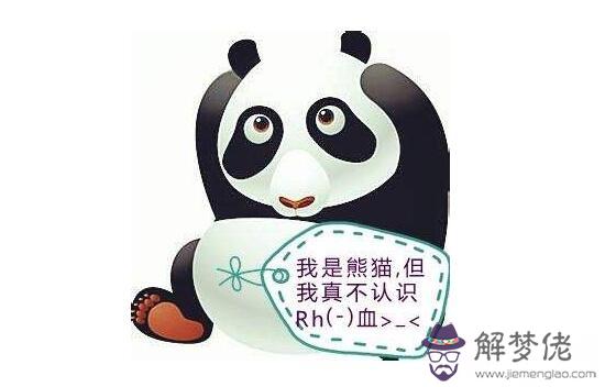 熊貓血是什麼血型,比較罕見的稀有血型