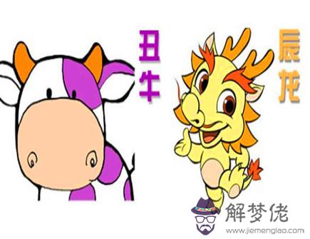 屬龍和屬牛合不合 屬龍和屬牛合不合