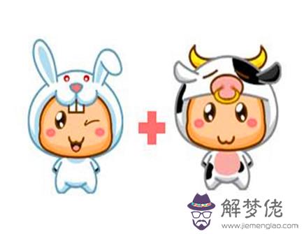 屬兔和屬牛合不合 屬兔和屬牛合不合
