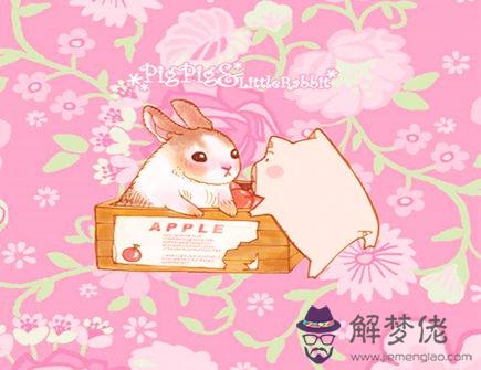 屬兔和屬豬合不合 屬兔和屬豬合不合