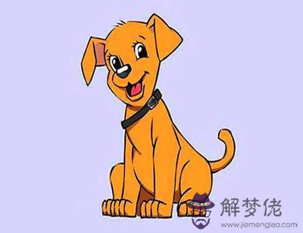 屬狗2021年六月運勢 屬狗2021年六月運勢