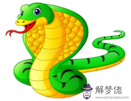 屬蛇2021年五月運勢 屬蛇2021年五月運勢