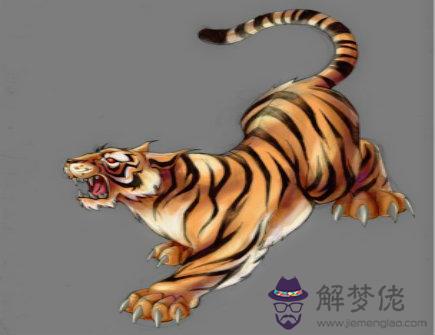 屬虎2021年八月運勢 屬虎2021年八月運勢