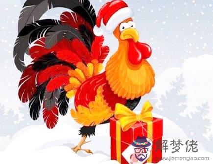 雞爸爸和猴媽媽生什麽寶寶好 雞爸爸和猴媽媽生什麽寶寶好