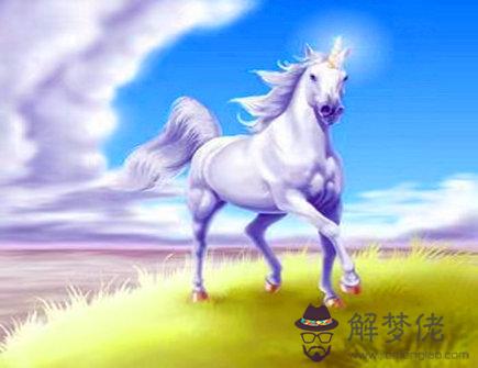 馬爸爸和虎媽媽生什麽寶寶好 馬爸爸和虎媽媽生什麽寶寶好