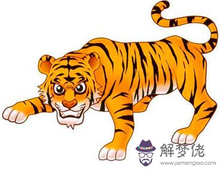 屬虎人在2021年適合換工作嗎 屬虎人在2021年適合換工作嗎