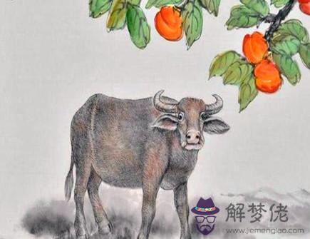 生肖牛2021年事業運如何 生肖牛2021年事業運如何