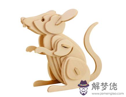 木鼠年是哪些年份 木鼠年是哪些年份