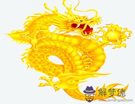 金龍年是哪些年份
