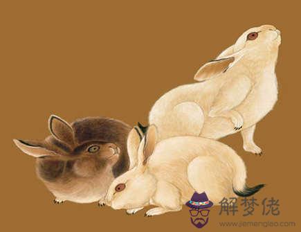 幾月出生的屬兔人桃花運最旺