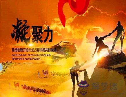 凝聚力很強的生肖 凝聚力很強的生肖