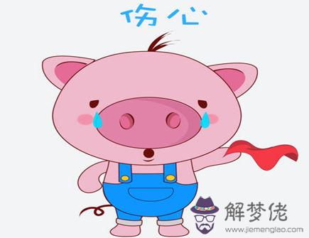 屬豬最怕什麽生肖g 屬豬最怕什麽生肖