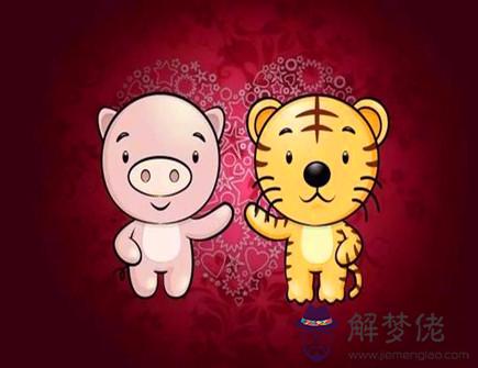 屬虎人的上等婚配表 屬虎人的上等婚配表