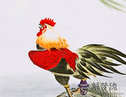 屬雞人和什麽屬相相破 屬雞人和什麽屬相相破