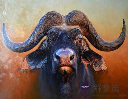 屬牛的五大貴人是哪些 屬牛的五大貴人是哪些