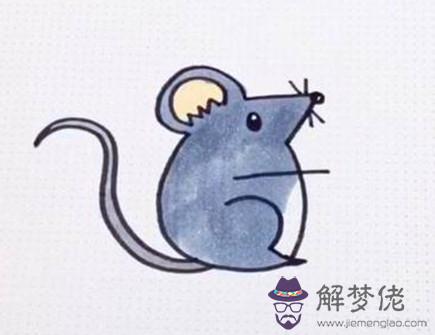 屬鼠人和什麽屬相相沖