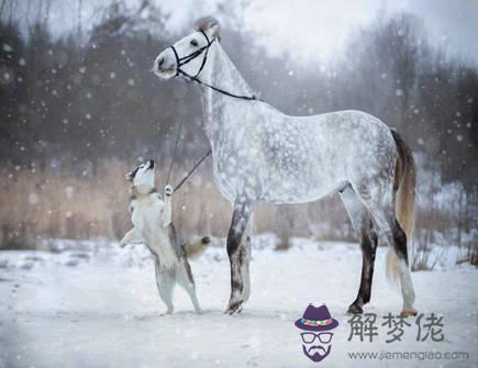 屬馬的人和什麽屬相相害 屬馬的人和什麽屬相相害