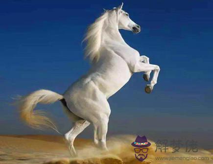 屬馬哪個月出生有偏財運 屬馬哪個月出生有偏財運