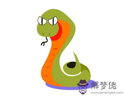 屬蛇需要避免的結婚對象 屬蛇需要避免的結婚對象