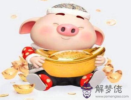 屬豬人在哪個領域發展好 屬豬人在哪個領域發展好