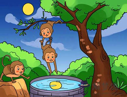 屬猴的隱藏性格有哪些 屬猴的隱藏性格有哪些