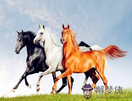 細數屬馬女的缺點 細數屬馬女的缺點