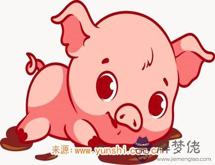 屬豬男感情弱點 屬豬男感情弱點