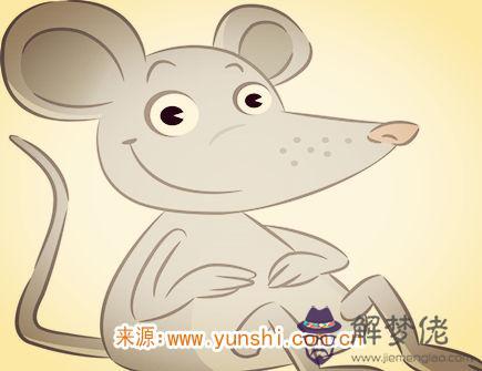 屬鼠人開什麽店最賺錢 屬鼠人開什麽店最賺錢