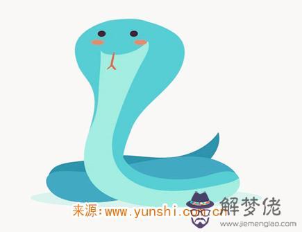 屬蛇人開什麽店最賺錢 屬蛇人開什麽店最賺錢