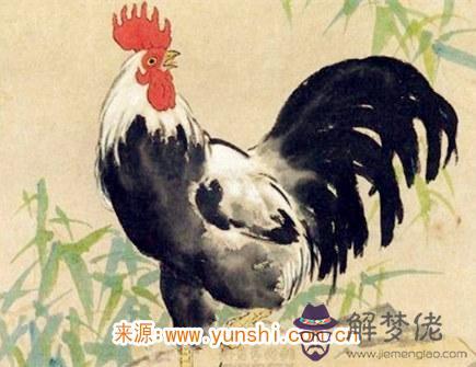 屬雞的人幸運物有哪些 屬雞的人幸運物有哪些