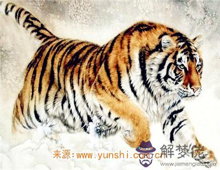 屬虎人的脾氣如何 屬虎人的脾氣如何