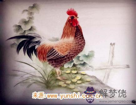 屬雞人的脾氣如何 屬雞人的脾氣如何