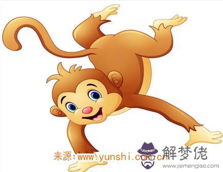 屬猴人的事業穩定嗎 屬猴人的事業穩定嗎