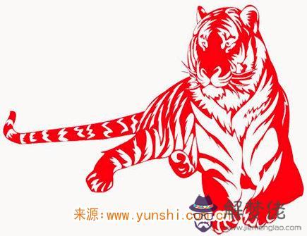 男命生肖虎2020年真兇診斷 男命生肖虎2020年真兇診斷