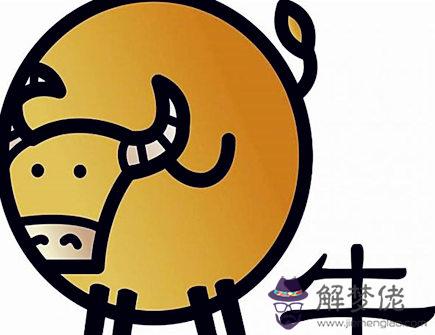 女命生肖牛2020年真兇診斷 女命生肖牛2020年真兇診斷