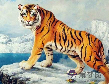 女命屬虎的人2020年如何旺財 女命屬虎的人2020年如何旺財