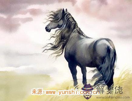 屬馬在戀愛中注重什麽細節 屬馬在戀愛中注重什麽細節