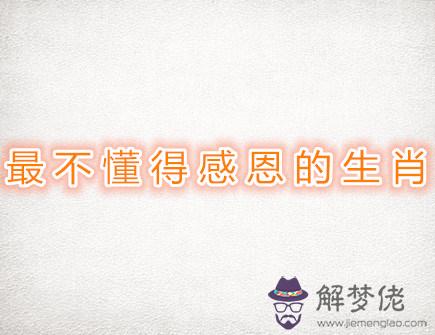 最不懂得感恩的生肖 最不懂得感恩的生肖