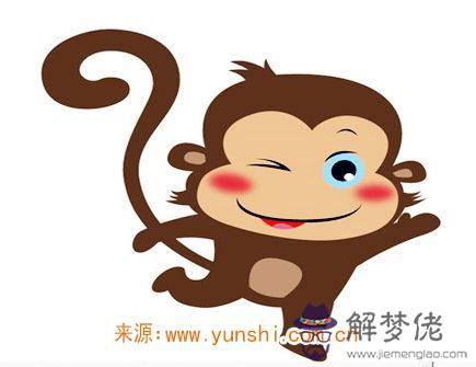 屬猴的人如何面對感情 屬猴的人如何面對感情