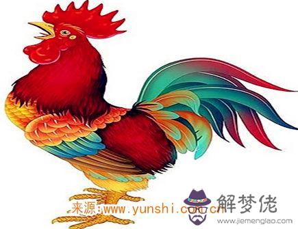 屬雞的人如何面對感情 屬雞的人如何面對感情