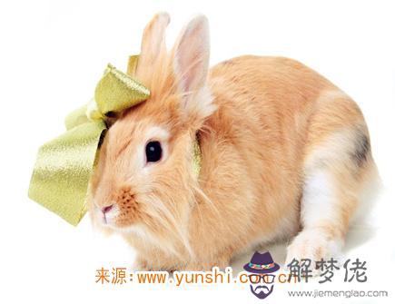 屬兔在戀愛中注重什麽細節 屬兔在戀愛中注重什麽細節