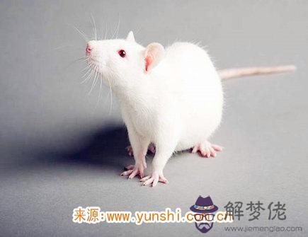 屬鼠女最愛的約會方式 屬鼠女最愛的約會方式