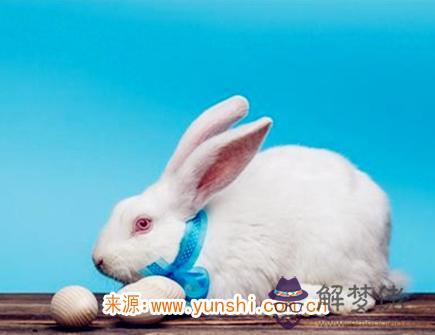 屬兔人的愛情必殺絕招 屬兔人的愛情必殺絕招