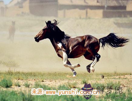 屬馬男咋面對女票出軌 屬馬男咋面對女票出軌