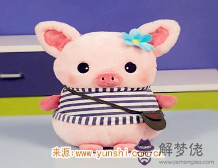 四月出生屬豬人的運勢 四月出生屬豬人的運勢