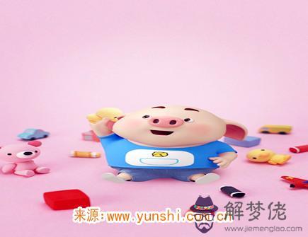 一月出生屬豬人的運勢 一月出生屬豬人的運勢