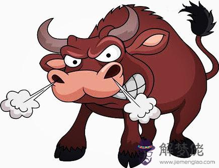 十二月出生屬牛人的運勢 十二月出生屬牛人的運勢