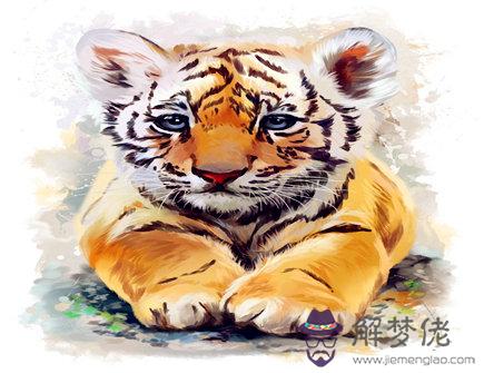 二月出生屬虎人的運勢hu4_副本.jpg 二月出生屬虎人的運勢