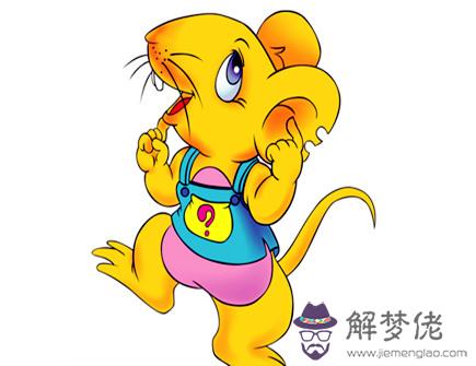 二月出生屬鼠人的運勢 二月出生屬鼠人的運勢